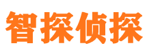 扶风市私家侦探